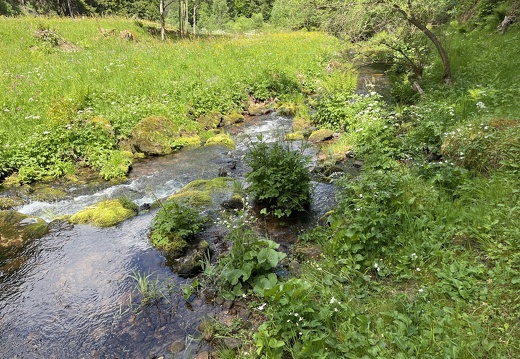 22-05-29 14-48-08 0986